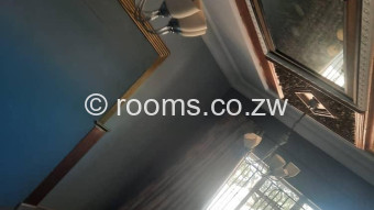  Room  in Cold Comfort