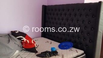  Room  in Madokero Estates