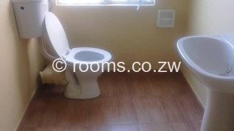  Room  in Avondale West