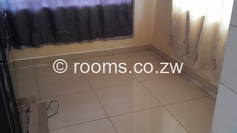  Room  in Southlea Park
