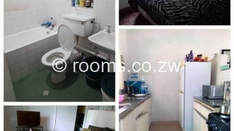  Room  in Avenues