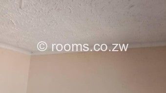  Room  in Westlea