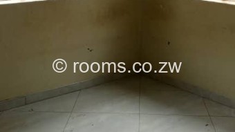  Room  in Cold Comfort