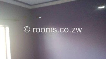  Room  in Cold Comfort