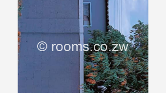  Room  in Luveve