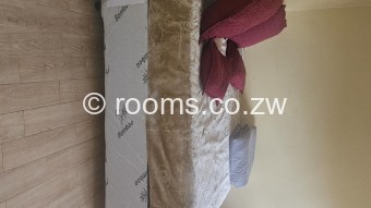  Room  in Madokero Estates