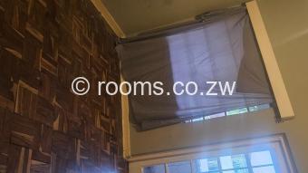  Room  in Avenues
