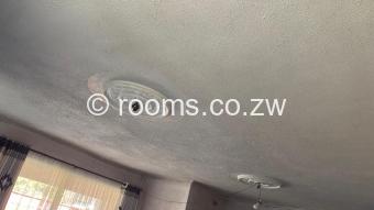 Room  in Marimba Park