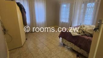  Room  in Avondale