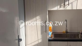  Room  in Avondale