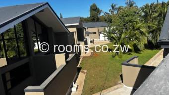  Room  in Avondale