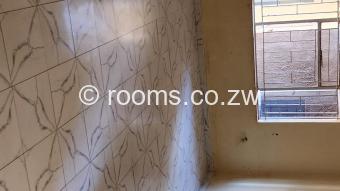  Room  in Cold Comfort